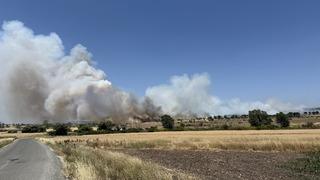 Çanakkale'de yangına neden olduğu tespit edilen şüpheli hakkında adli işlem başlatıldı
