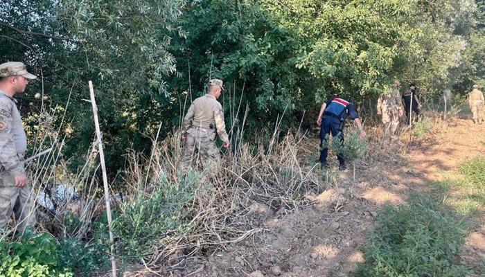 20409677-700x400 Manisa’da yasadışı kenevir ekim alanlarına sıkı denetim