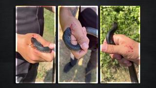 'Zararsız' dediği bir buçuk metrelik yılanın saldırısına uğradı! İki kere elinden ısırdı