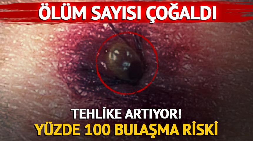  4 kişi hayatını kaybetti! Uyarılar geldi...