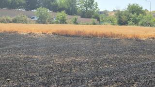 Şehir içindeki 30 dönümlük buğday tarlası alevlere teslim oldu