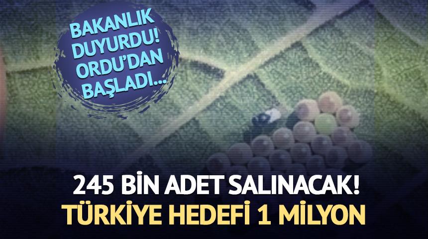 245 bin adet doğaya salınacak! Türkiye hedefi 1 milyon...