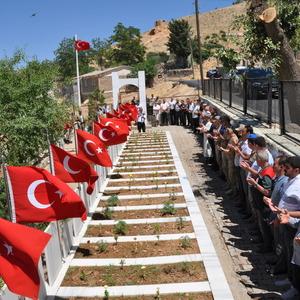 Mardin'de 38 yıl önce şehit edilen 30 kişi, törenle anıldı