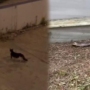 Son Dakika Haber Görseli