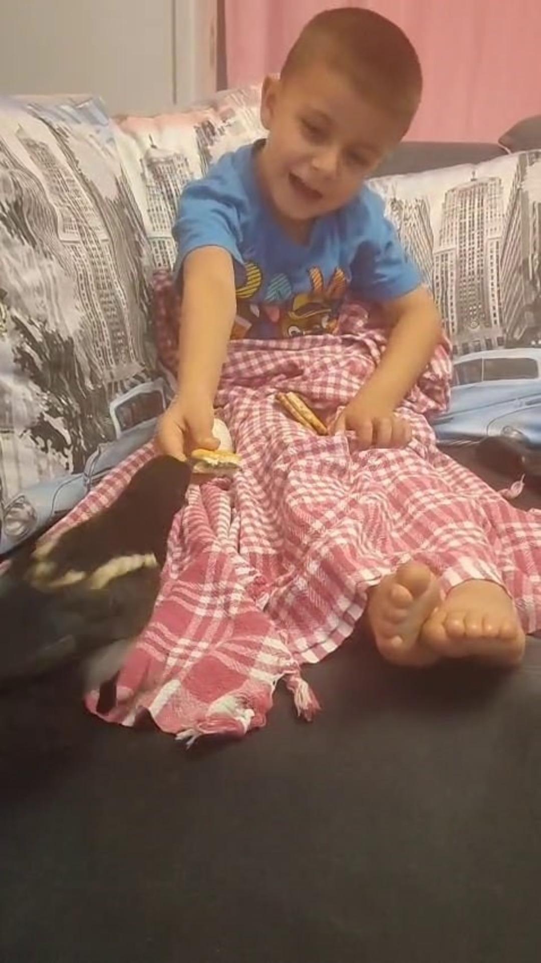 Yaralı kuştan, aile üyesine... Saksağanla tatil yapan kadın: Hayatını kurtardığı yavru saksağan evladına dönüştü 1