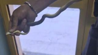 Amasya'da hastane deposunda 'yılan' paniği