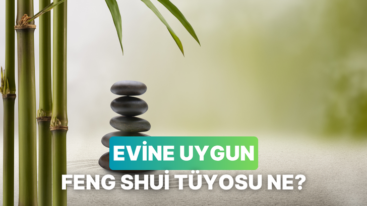 Bu testin sonunda enerji akşını sağlayacak bir Feng Shui tüyosu veriyoruz! 