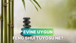 Bu testin sonunda enerji akşını sağlayacak bir Feng Shui tüyosu veriyoruz! 