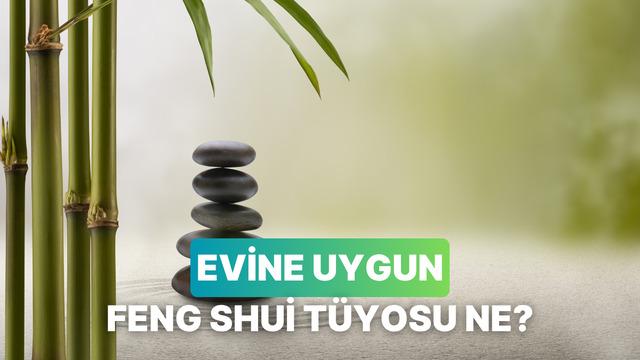 Bu testin sonunda enerji akşını sağlayacak bir Feng Shui tüyosu veriyoruz! 