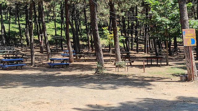 İstanbul Valiliği duyurdu: Orman yangınlarına karşı önlem! O tarihlerde girişler yasak