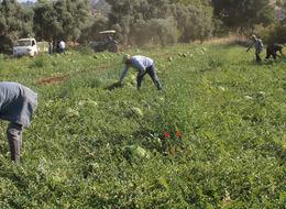 'Hiçbir yere ayrılmıyoruz' Sadece buradan alıyorlar 'Saatlerce sıra bekliyoruz' öyle bir rağbet görüyor ki...