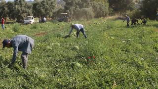 'Hiçbir yere ayrılmıyoruz' Sadece buradan alıyorlar 'Saatlerce sıra bekliyoruz' öyle bir rağbet görüyor ki...