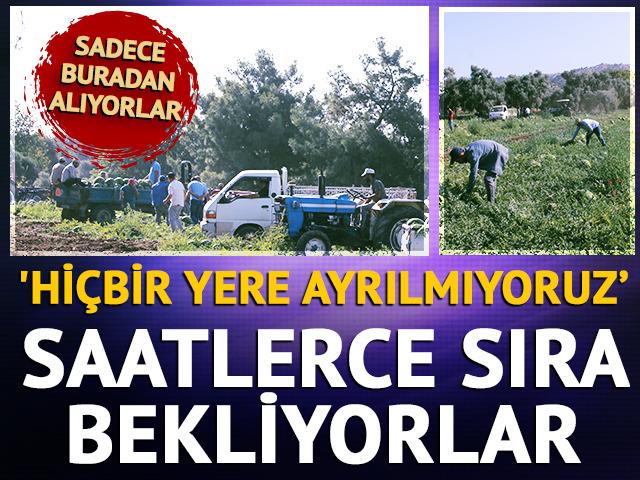 'Hiçbir yere ayrılmıyoruz' Sadece buradan alıyorlar