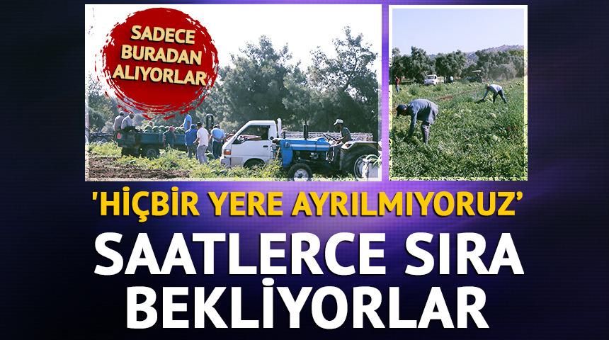 'Hiçbir yere ayrılmıyoruz' Sadece buradan alıyorlar