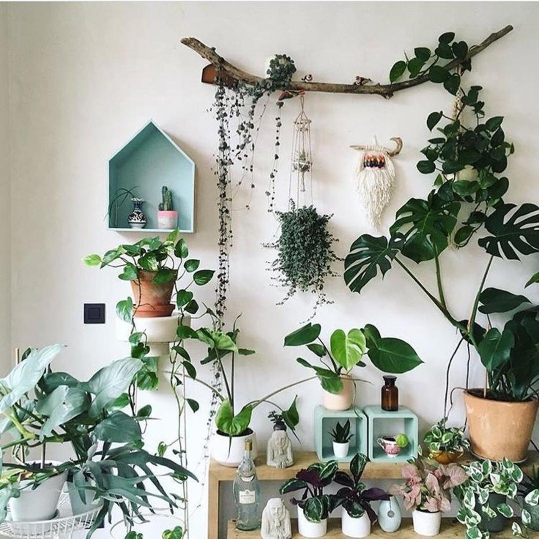 Kalabalık ailelerde yaşayanlar için evde huzurlu alan yaratmanın yolları 4