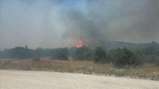 Balıkesir'deki orman yangını kontrol altında