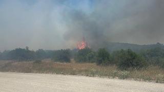 Balıkesir'in İvrindi ilçesinde çıkan orman yangını kontrol altına alındı