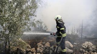 Muğla'da odunlukta başlayıp zeytinliğe sıçrayan yangın söndürüldü