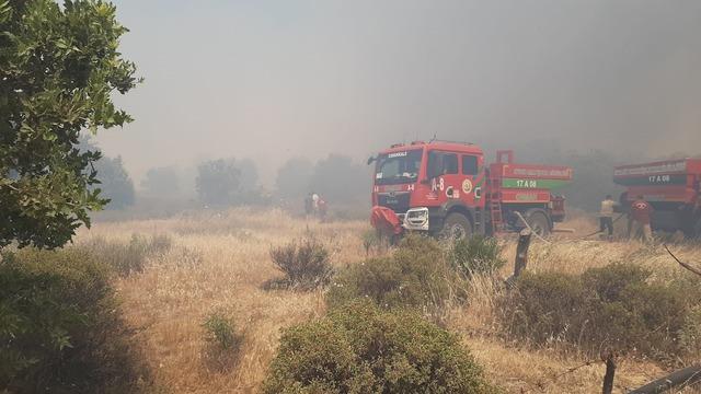 Çanakkale’de tarım arazisinde yangın