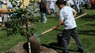 Kayseri'de Filistin'de öldürülen çocuklar için fidan dikildi