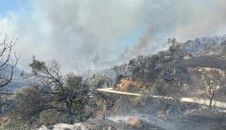 Aydın Efeler’de zirai alanda yangın, bazı evlerde hasar oluştu