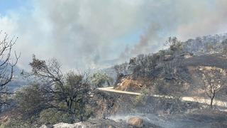 Aydın Efeler’de zirai alanda yangın, bazı evlerde hasar oluştu