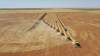 Sayım gerçekleştirilecek! Tarih belli oldu... Tarım için harekete geçildi