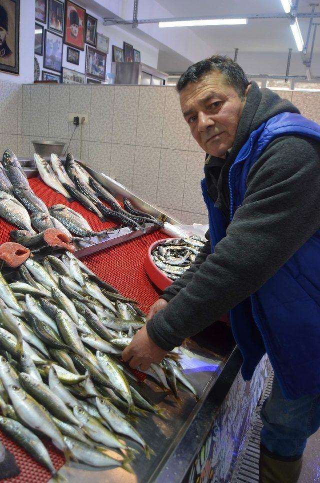 Karadeniz’de balık kalmayınca Trabzon’a balıklar Ege’den geldi