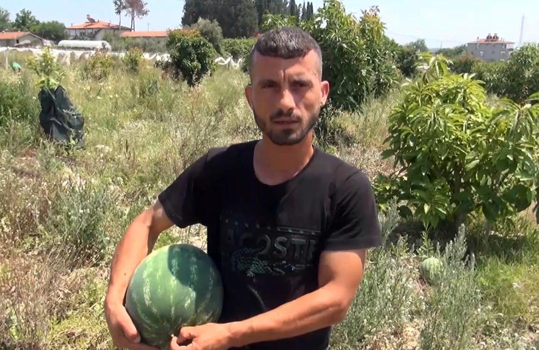 TARLADAKI-KARPUZLARI-VATANDASA-UCRETSIZ-_778483_230128