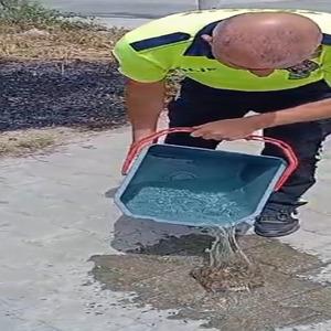 Son Dakika Haber Görseli