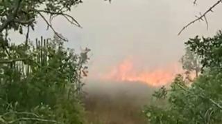 Karabük’te anız yangını büyümeden söndürüldü