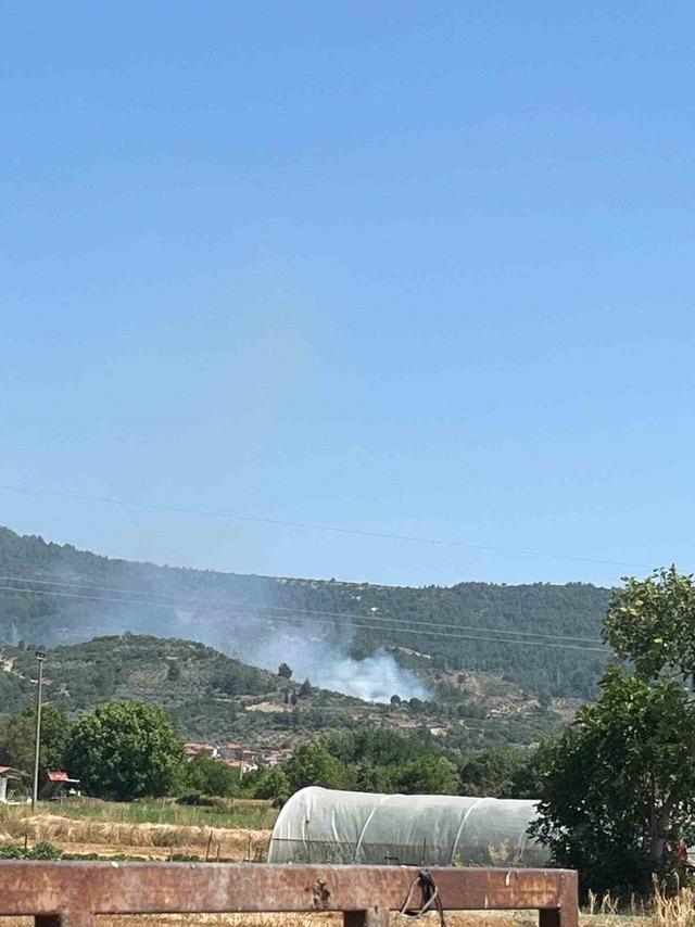 Menteşe’de zeytinlik alanda yangın 1