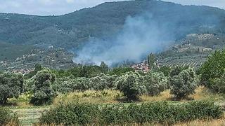 Menteşe’de zeytinlik alanda yangın