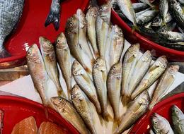 'Fiyatlara yansıdı' Trabzon'da balıkçı tezgahlarında bolluk yaşanıyor