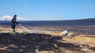 10 bin dönümlük arazi alevlere teslim oldu