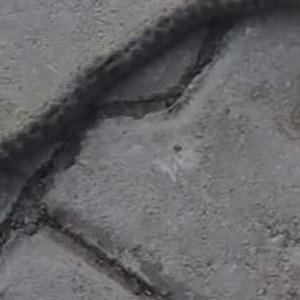 Elazığ'da çift başlı yılan tedirgin etti