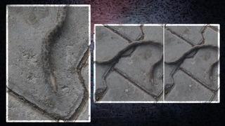 Elazığ'da görüldü! İki tane başı var: Vatandaşlar şaşkına döndü: İlk defa böyle bir şey görüyorum...