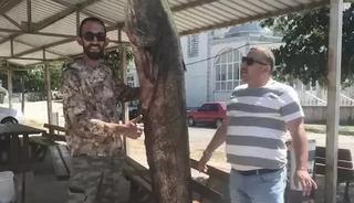 Meriç Nehri'nde 80 kilogramlık yayın balığı yakalandı