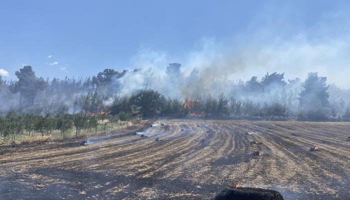 20433104-700x400 Çanakkale’deki orman yangını kontrol altına alındı