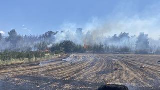 Çanakkale’deki orman yangını kontrol altına alındı
