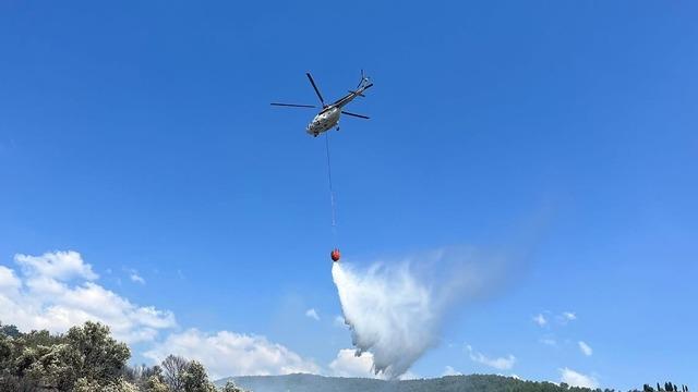 Muğla'da makilik ve zeytinlik alanda çıkan yangın söndürüldü
