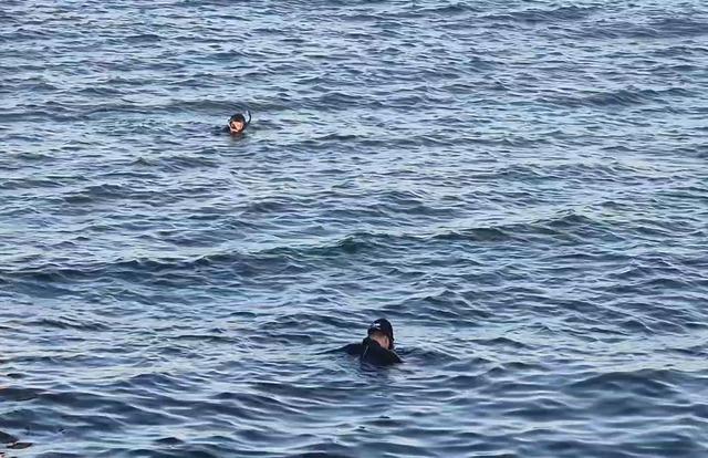 Avcılar'da denizde ceset ihbarı asılsız çıktı | Son Dakika