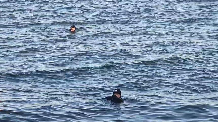 Avcılar'da denizde ceset ihbarı asılsız çıktı