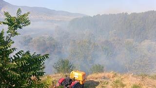 Eskişehir'de ağaçlık alanda yangın: Alevler okul lojmanına sıçradı