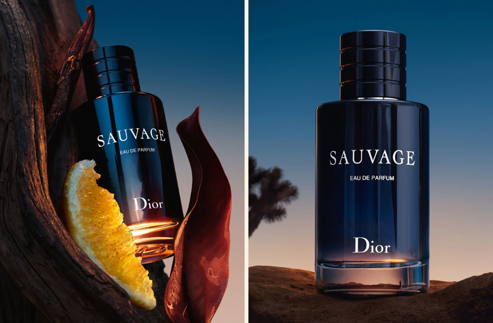Modern erkeğin imzası: Dior Sauvage erkek parfümünü sizin için inceledik	