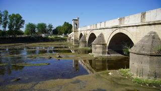 Korkutan manzara! Tunca Nehri'nin su akışı durma noktasına geldi