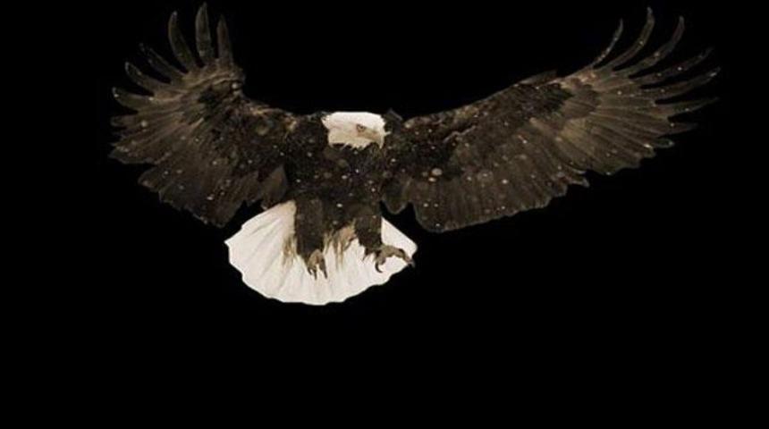 &Ccedil;arşı Kartal'ın esaretine karşı!