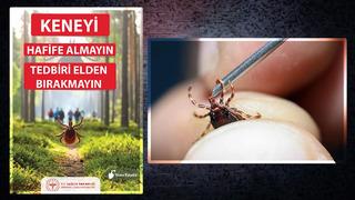 KKKA geri döndü... Kene ısırığı hasta edebilir! Bulaşma riskine karşı önlem alın! Uzmanlar uyarıyor...