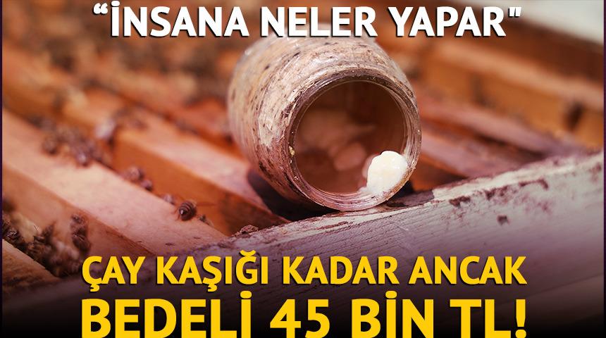 Çay kaşığı kadar ancak bedeli 45 bin TL!