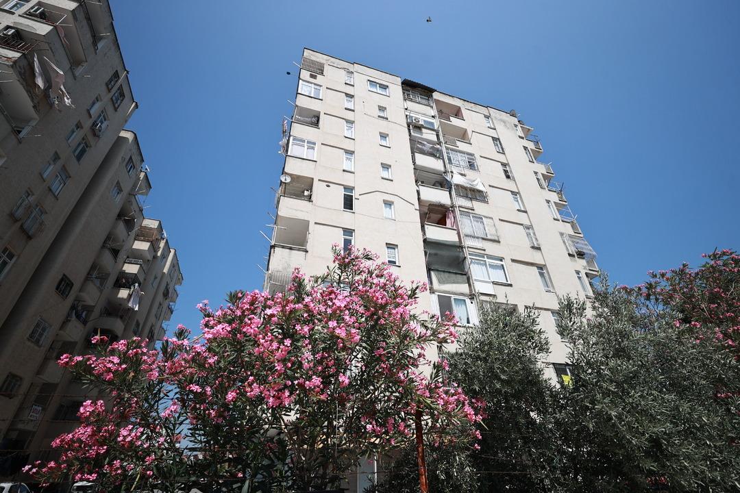 Site sakinlerinin kabusu oldu! Mersinli maymun eşya bile çalıyor... 2